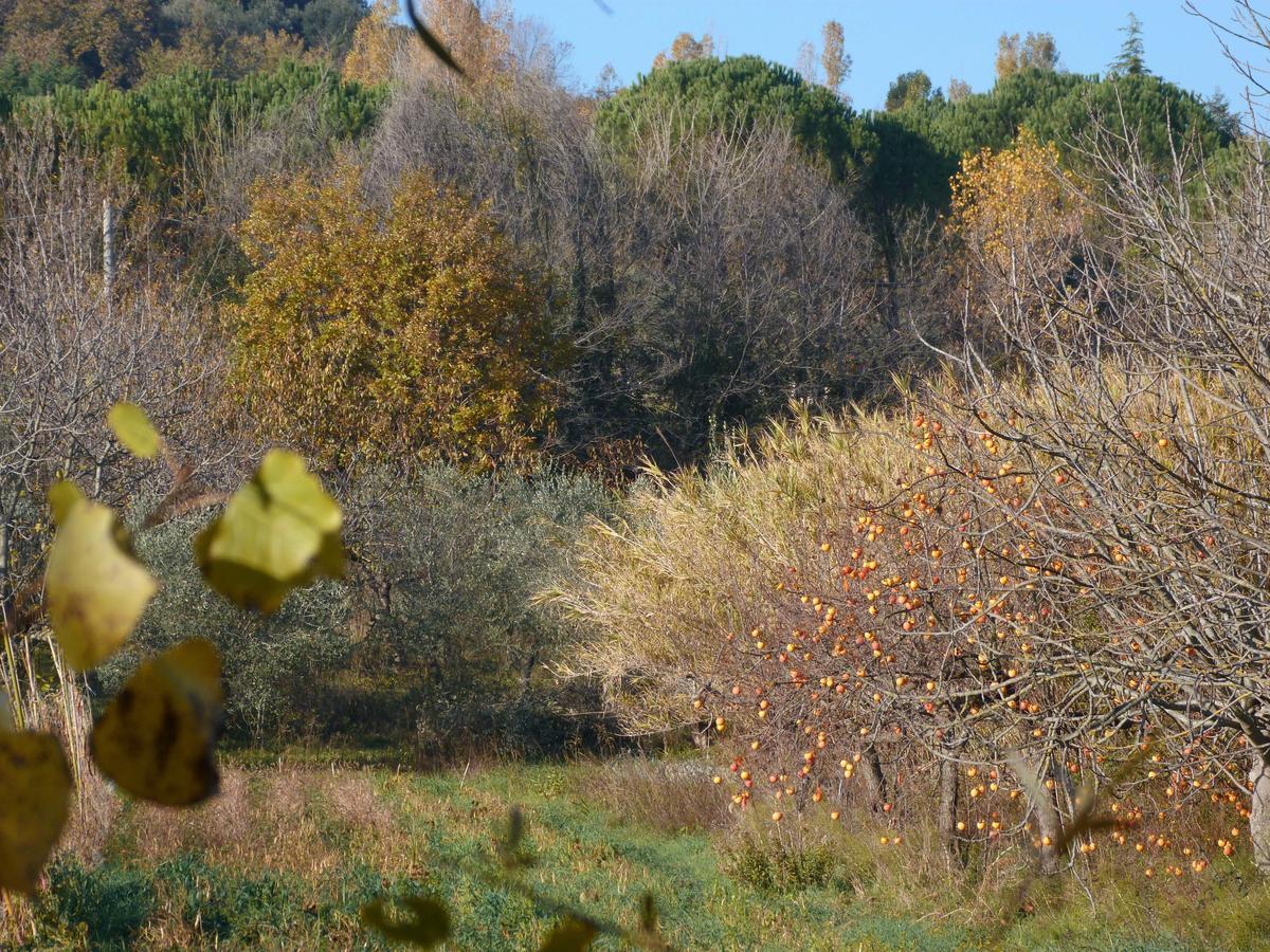 Pian Del Pigro Alloggio per agriturismo