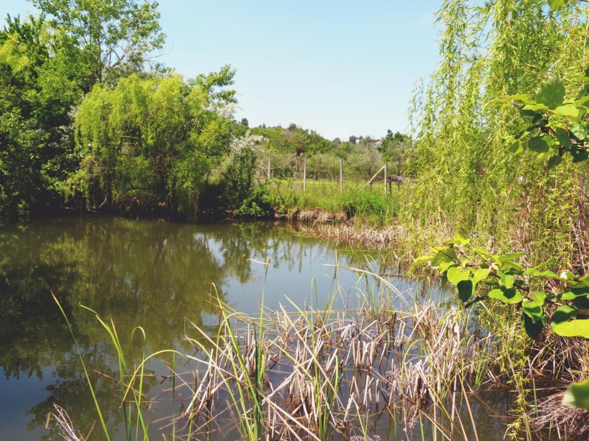 Alloggio per agriturismo Pian Del Pigro *